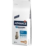    Advance Adult Chicken and Rice 15 