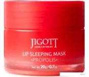 Jigott    Lip Sleeping Mask    (20 )