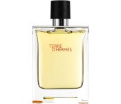 Hermes Terre d'Hermes EdT (100 )