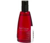   Real Time Red Canyon Men EdT (100 )