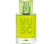   Solinotes Musc EdP (15 )