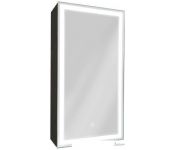     Mirror Box Black Led 35x65 ()