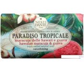 Nesti Dante   Hawaiian Maracuja & Guava 250 