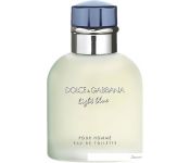 Dolce&Gabbana Light Blue pour Homme EdT (40 )