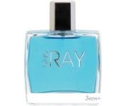 Dilis Parfum Blue Ray EdT 100 