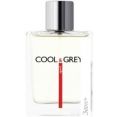 Dilis Parfum Cool&Grey Sport EdT 100 