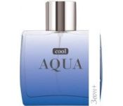 Dilis Parfum Cool Aqua EdT 100 