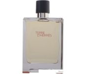 Hermes Terre d'Hermes EdT (200 )