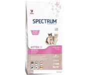     Spectrum Kitten 38   12 