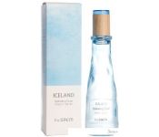 The Saem    Iceland Hydrating Toner (160 )