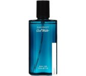 Davidoff Cool Water EdT (75 )