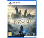 Hogwarts Legacy  PlayStation 5