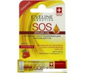 Eveline Cosmetics    Argan Oil SOS   (4.5 )