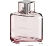   Dorall Collection Damsel Radiant for Women EdT (100 )