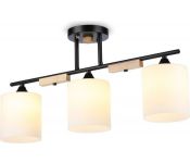    Ambrella light Traditional TR9551