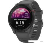   Garmin Forerunner 255 46  (-/)