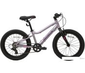   Maxiscoo 5Bike 20 L 2024 ( )