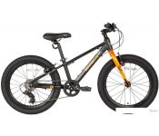   Maxiscoo 5Bike 20 M 2024 ( )