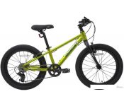   Maxiscoo 5Bike 20 M 2024 ( )