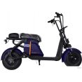  Smart Balance Mini Sport 2024 ()