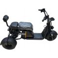  Smart Balance Mini Trike Sport 2024