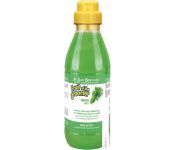  Iv San Bernard Fruit Of The Groomer Mint Shampoo (500 )