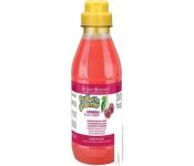  Iv San Bernard Fruit Of The Groomer Black Cherry Shampoo (500 )