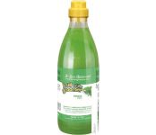  Iv San Bernard Fruit Of The Groomer Mint Shampoo (1 )