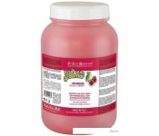  Iv San Bernard Fruit Of The Groomer Black Cherry Shampoo (3.25 )