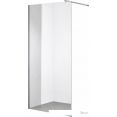   Saniteco Walk-In SN-W6TC110 (110x200,  ,  )