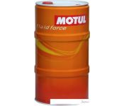   Motul 5000 4T 10W40 208