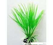   Barbus  Plant 007/10 ()