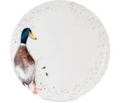   Royal Worcester    WN4077-XB-Duck