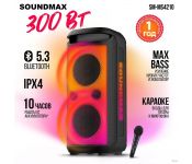  Soundmax SM-MS4210