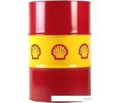   Shell Rimula R6 MS 10W-40 209