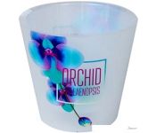  Plastic Republic London Orchid Deco 1.6  ( )