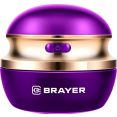     Brayer BR5031