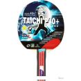     Giant Dragon TaiChi P40+ (FL)