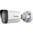 Tiandy TC-C321N I3/E/Y/4mm