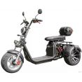  Smart Balance X12 Pro Trike 2024 ()