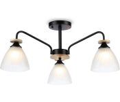    Ambrella light Traditional TR9564