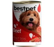     Bestpet     400 