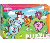  Step Puzzle  94118 (160 )