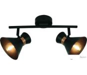   Arte Lamp Baltimore A1406AP-2BK