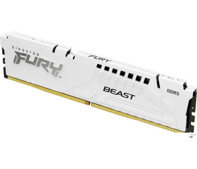   Kingston FURY Beast 16 DDR5 6000  KF560C30BWE-16
