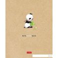   Hatber Panda Book 4851 (48 ,  )