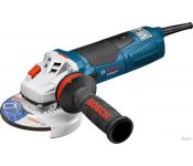   Bosch GWS 19-125 CIE Professional [060179P002]