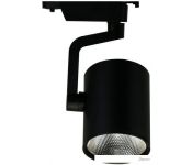   Arte Lamp Traccia Medio A2321PL-1BK