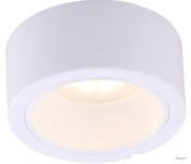   Arte Lamp Effetto A5553PL-1WH