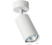  Arte Lamp Aquarius A3216PL-1GY